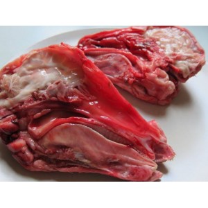 Whole Lamb Head (each)