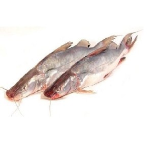 Ayre Fish (1 to 1.5 kg each)* $12.00/kg